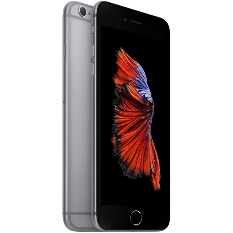 iPhone 6 Plus